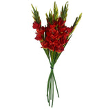 Artificial Orange Gladioli Stem