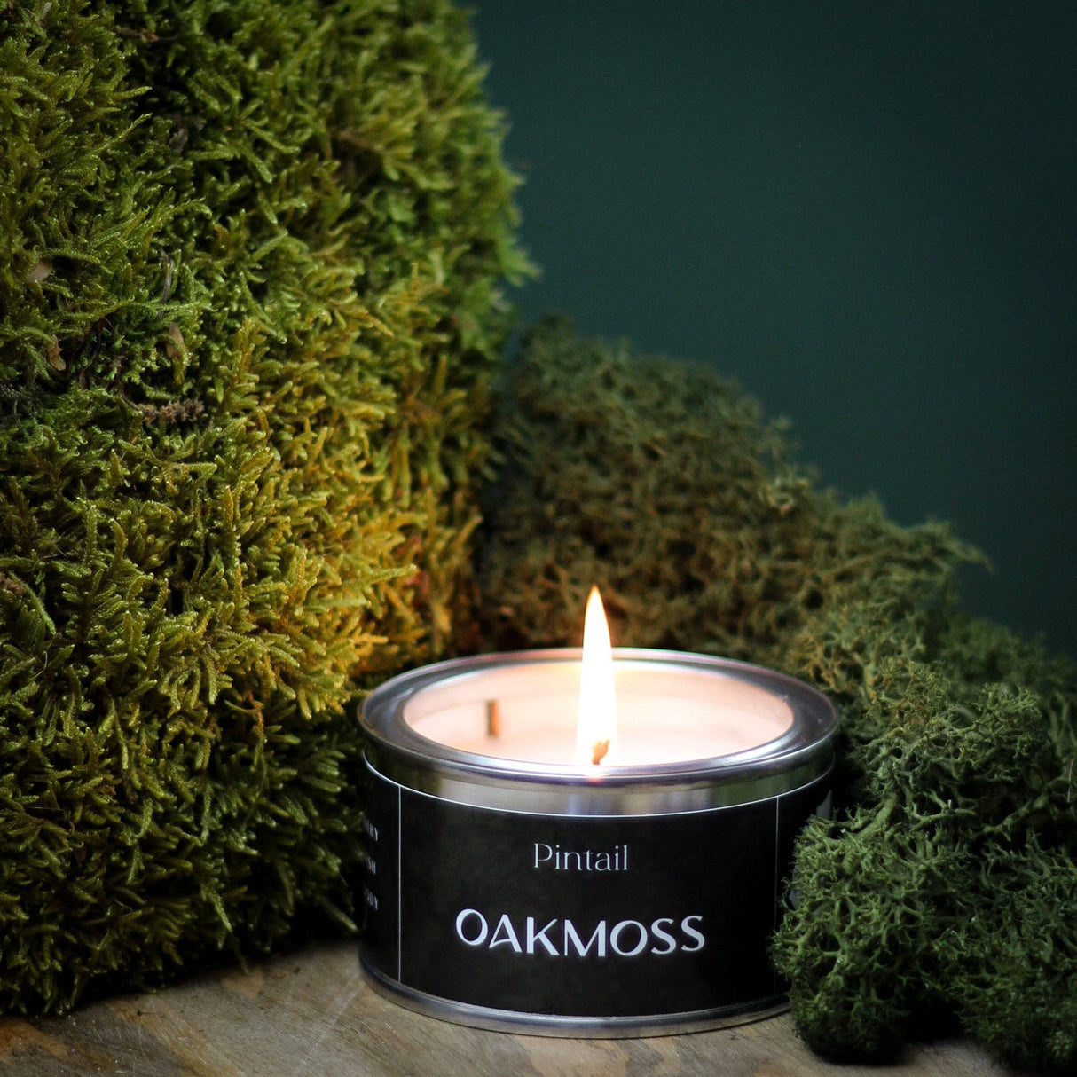 Pintail Candles | Avalon Home - Oakmoss Paint Pot Candle (Pack of 6)