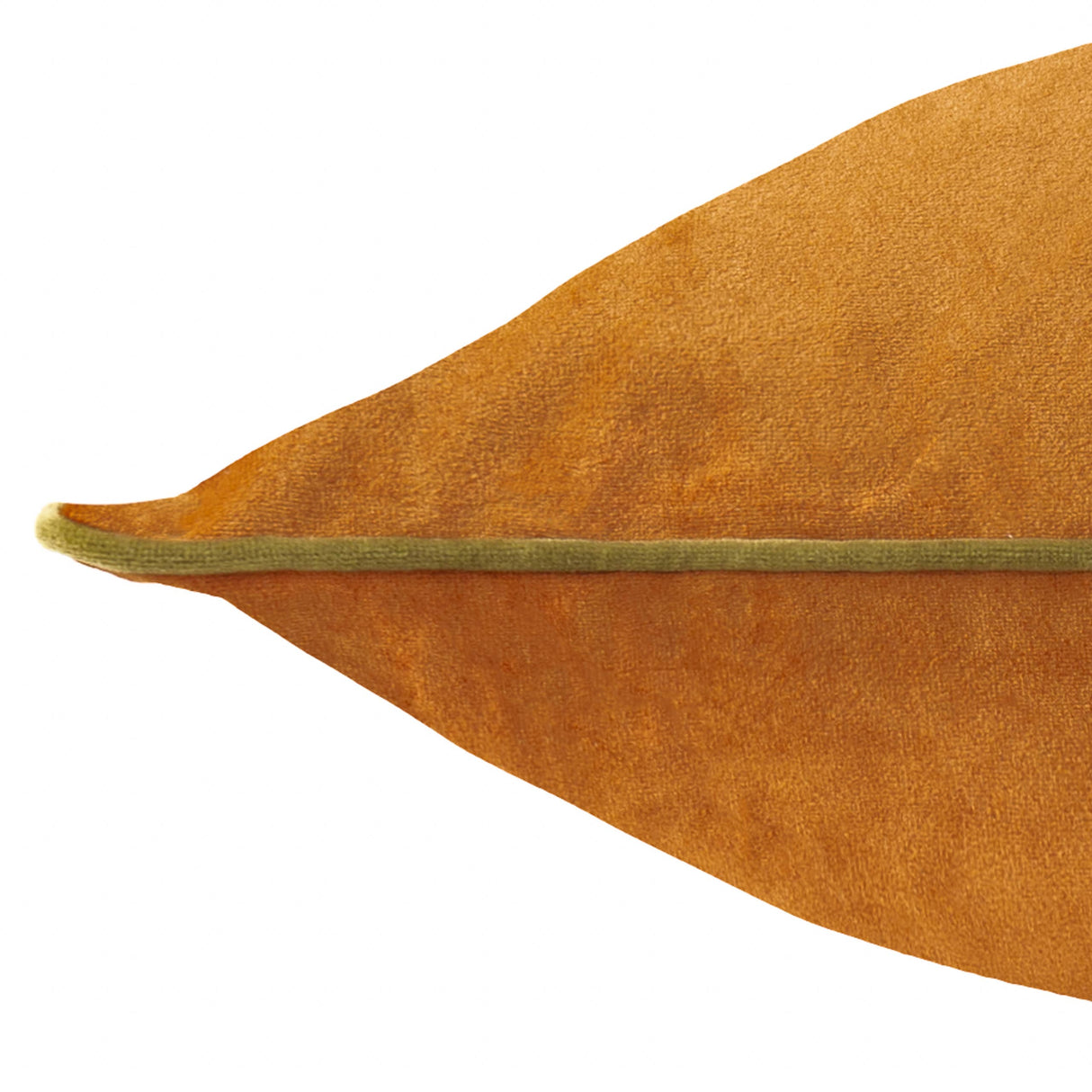 Ginger and Olive Velvet Cushion