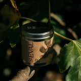 St Eval Fig Tree Scented Candle Tin