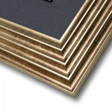 Rosa Nivea Framed Canvas