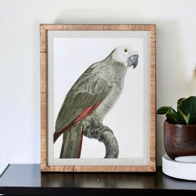 Framed Percy Parrot Print.