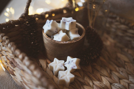 Bobella Co. - Blackcurrant & Sloe Berries Soy Wax Melts