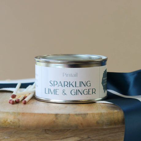 Pintail Candles | Avalon Home - Sparkling Lime and Ginger Paint Pot Candle | Small Candles