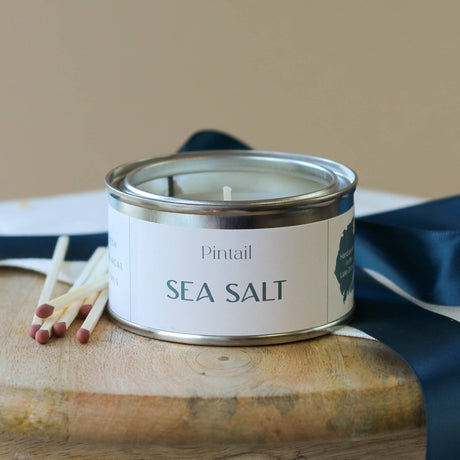 Pintail Candles | Avalon Home - Sea Salt Paint Pot Candle | Small Candles in Tins | Candles