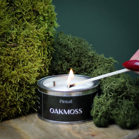 Pintail Candles | Avalon Home - Oakmoss Paint Pot Candle (Pack of 6)