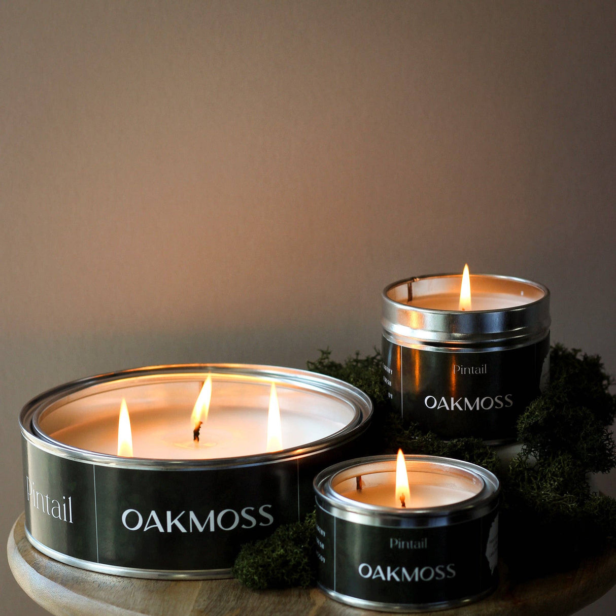Pintail Candles | Avalon Home - Oakmoss Paint Pot Candle (Pack of 6)