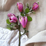 Dark Pink Magnolia Branch - Persora