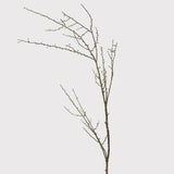 Rustic Brown Twig Stem - Persora
