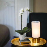White Orchid Phalaenopsis in Pot.